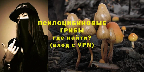 ПСИЛОЦИБИНОВЫЕ ГРИБЫ Киреевск