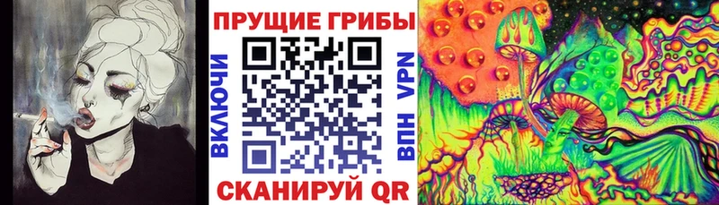 Псилоцибиновые грибы Psilocybe  купить закладку  Шенкурск 